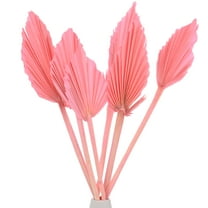 Uxcell 6-Park Dried Palm Leaves 13.7x3.9 Natural Dried Real Palm Fans for Boho Wedding Home Bouquets [Pink]