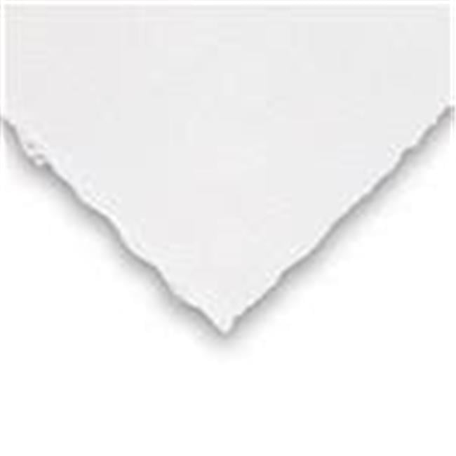Rives Bfk White 22x30 Pack of 10