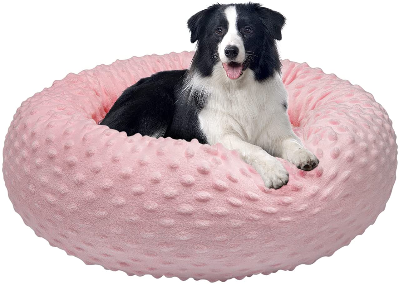 personalized dog beds