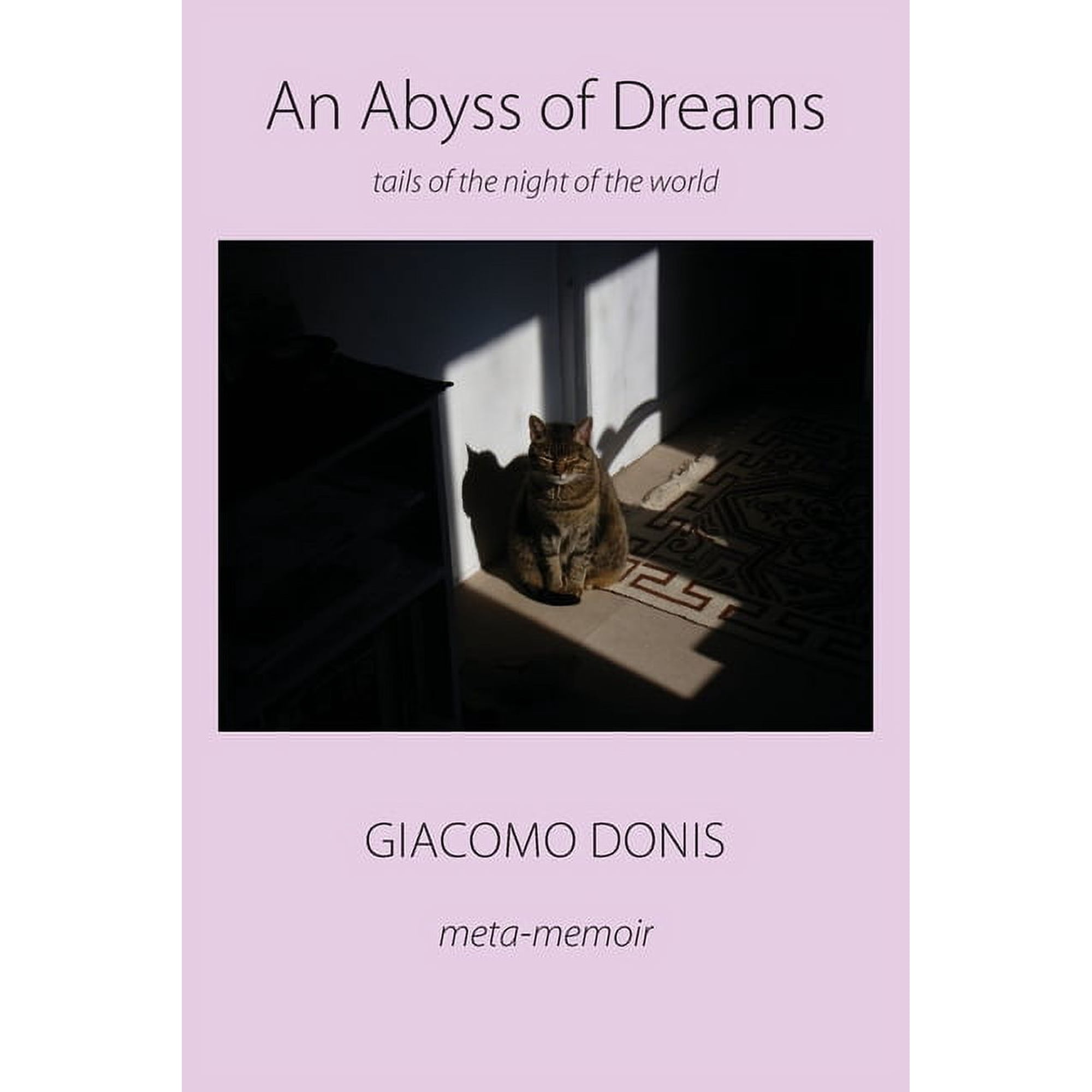 An Abyss of Dreams (Paperback)