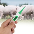 thumbnail image 3 of Veterinary Electronics Thermometer Lcd Screen Dog Pet Dedicated Soft Head Thermometer, 3 of 8