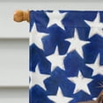 thumbnail image 3 of Carolines Treasures CK6415CHF Austrian Pinscher American Canvas House Size Outdoor-Flags, Multicolor, 3 of 4