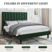 Amolife Queen Size Platform Bed Frame with Upholstered Velvet Channel Headboard, Green