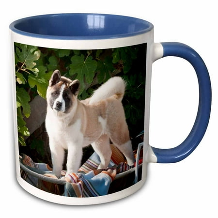 Akita Porcelain - 3dRose Akita dog with blanket and toy - US05 ZMU0038 - Zandria Muench Beraldo - Two Tone Blue Mug, 11-ounce