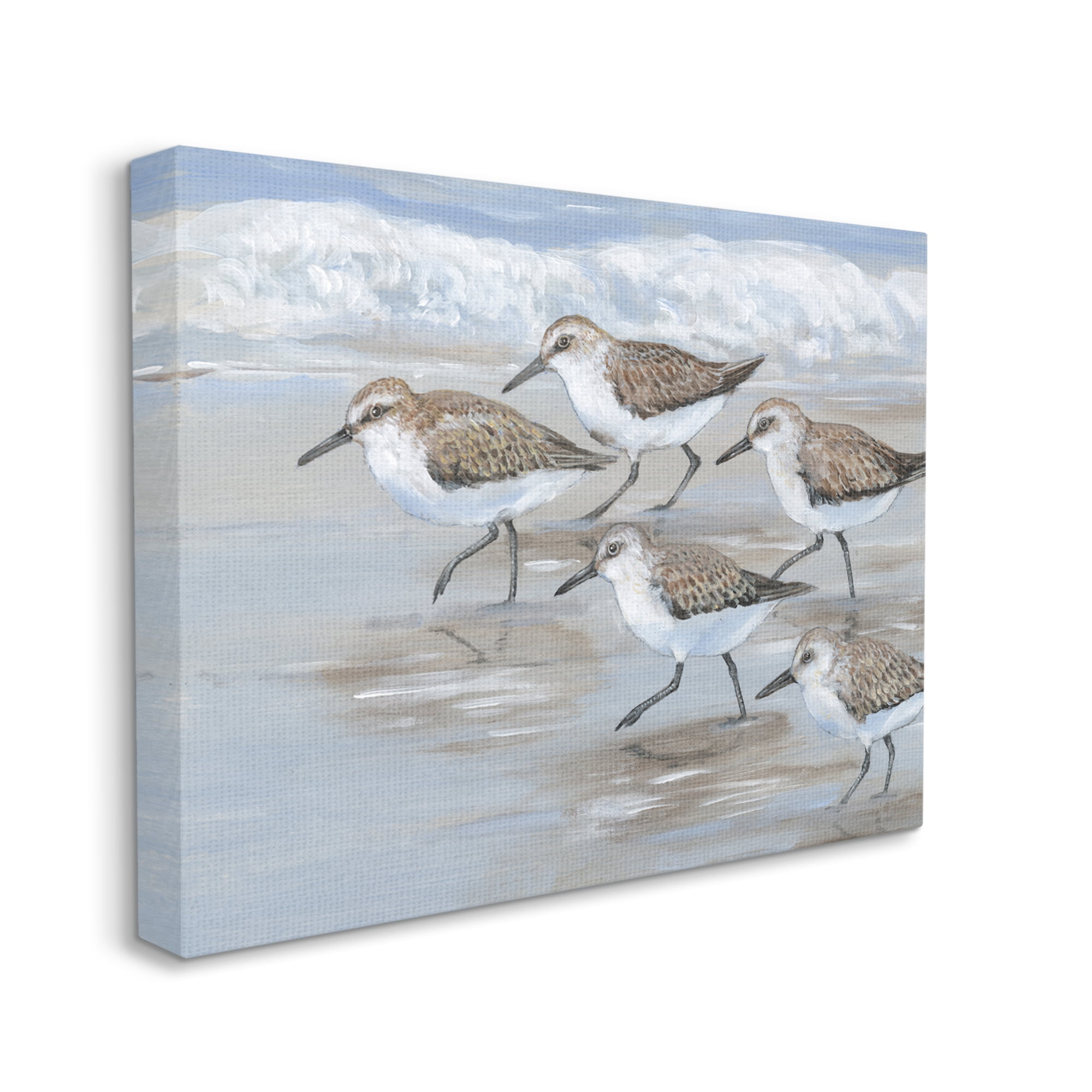 Stupell Industries Sandpiper Bird Flock Marching Beach Coast Waves , 20 x 16,Design by Tim OToole
