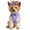 Paisley Purple, variant on Wrap and Snap Choke Free Dog Harness by Doggie Design