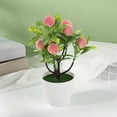 thumbnail image 4 of Artificial Potted, Staron 2026 Realistic Pachycarpus Fortunei Bonsai Tree, Plastic Multicolor Decorative Fruit Tree for Home Decor Coffee Table Wine Cabinet, 4 of 6