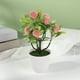 thumbnail image 4 of Simulation Of 7 Pachycarpus Fortunei Large Fruit Bonsai Living Room Coffee Table Decoration Photography Props Wine Cabinet Decoration, 4 of 6