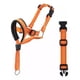thumbnail image 1 of Cabeza De Perro Halter Rojo Tallas (m: 8.25-10.25 Hocico)2pc, 1 of 8