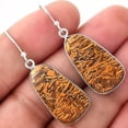 thumbnail image 1 of Desiregem Natural Coquina Fossil Jasper - India 925 Silver Adult Women Earrings SDE51005 E-1001, 1 of 5