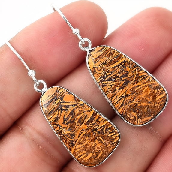 Desiregem Natural Coquina Fossil Jasper - India 925 Silver Adult Women Earrings SDE51005 E-1001