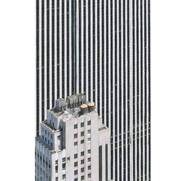 Rendering Eye: Urban America Revisited (Hardcover)