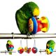 thumbnail image 1 of 3 uds lindo mascota pájaro mordedura de juguete loro pelota para masticar juguetes columpio jaula cacatúa periquito perro gato jugando pelota, 1 of 5