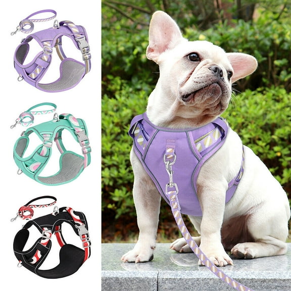 Didog No Pull Dog Puppy Pet Harness and Leash set Adjustable Reflective Padded Safety Vest