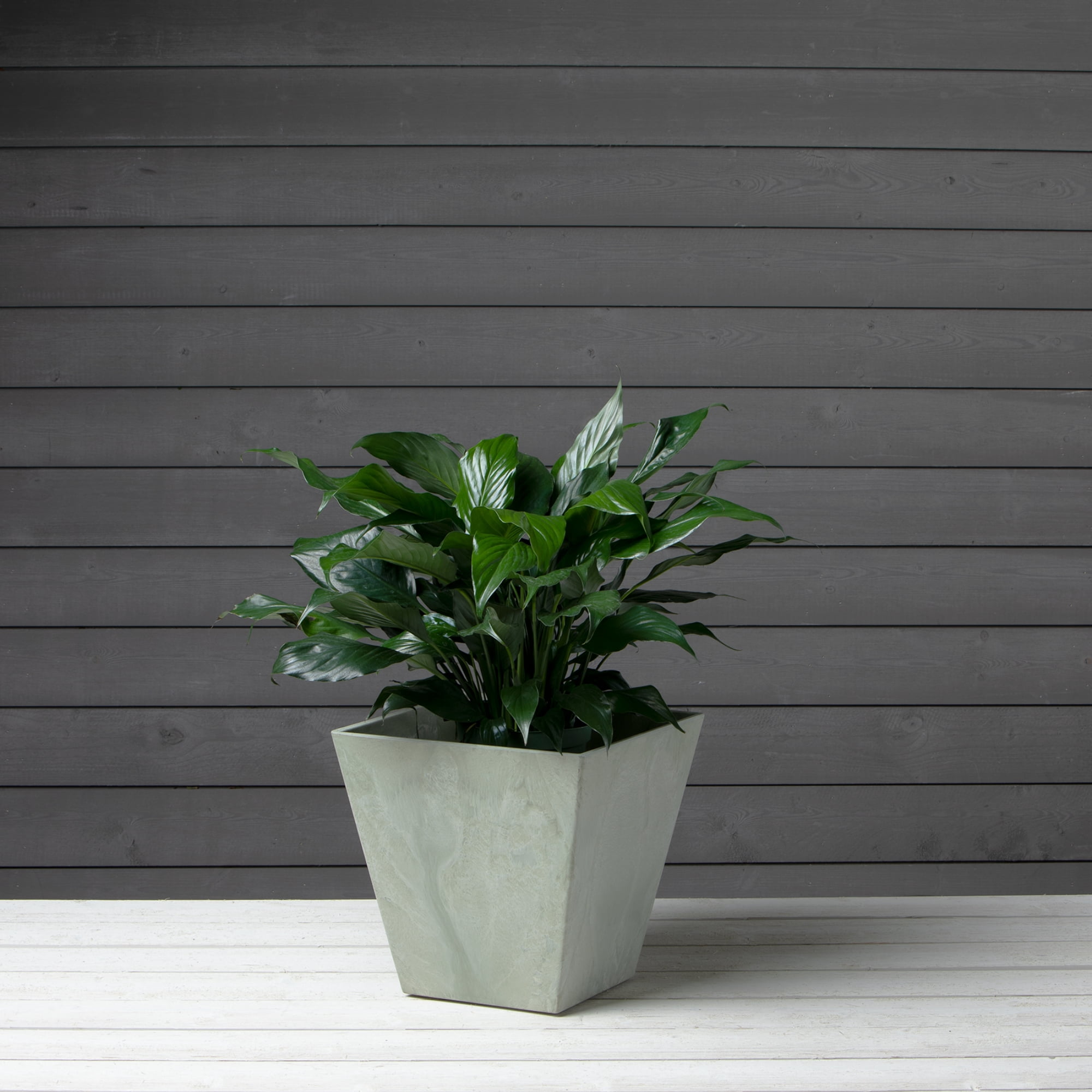 Root & Vessel Ella Square Planter, Mint, 12"
