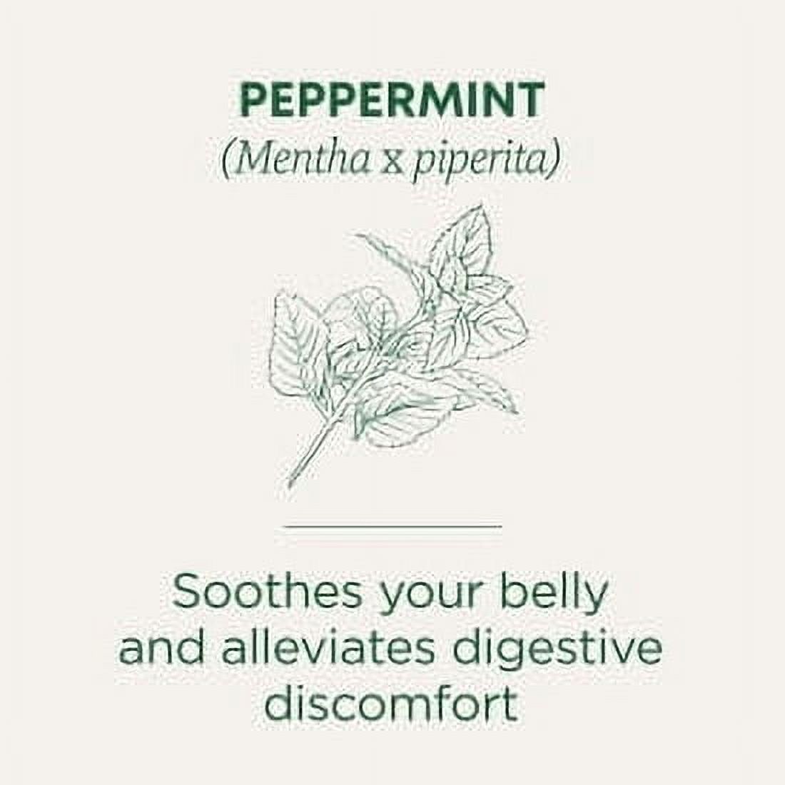 (4 pack) Traditional Medicinals Organic Peppermint Herbal Tea Bags, 16 Count