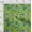 Green2, variant on oneOone Cotton Jersey Medium Blue Fabric Batik Craft Projects Decor Fabric Printed By The Yard 58 Inch Wide - 48