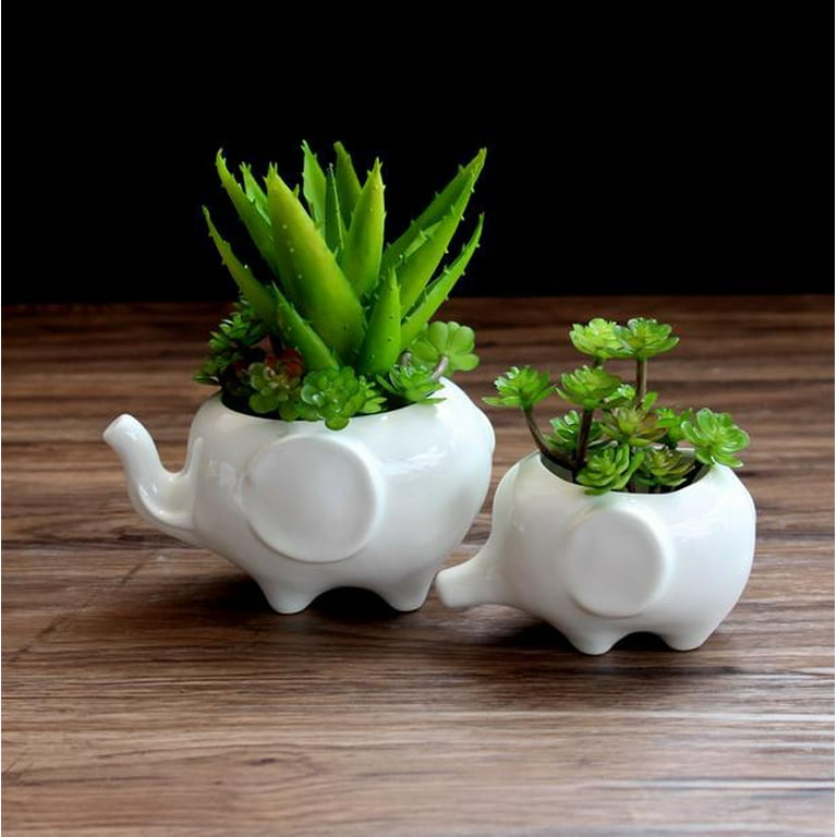 Kawaii Animals Ceramic Flower pot Elephant Succulent Planter Cactus Succulent Plants Flower Cute White Pot (1PCS Elephants) Kawaii Animals Ceramic Flower pot Elephant Succulent Planter Cactus Succulent Plants Flower Cute White Pot (1PCS Elephants)