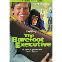 The Barefoot Executive