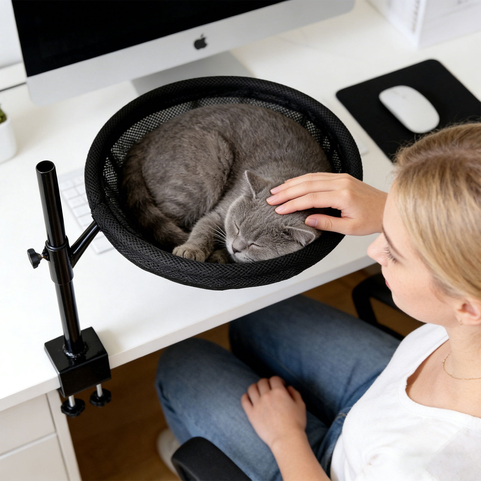 Thick Desktop Cats Perches Secure Mounting Space Saving Antislip Base Adjustable Cats Hammocks Perches