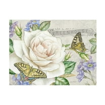 Canvas Wall Art - Jean Plout 'Rose Garden in Bloom B' Wall Art for Living Room, Bedroom, or Office Décor by Trademark Fine Art - 19 x 14 Inches