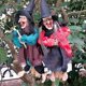 thumbnail image 4 of Laugh Witch Halloween Scary Hanging Witches Decorations Props Horror Haunted House, 4 of 4