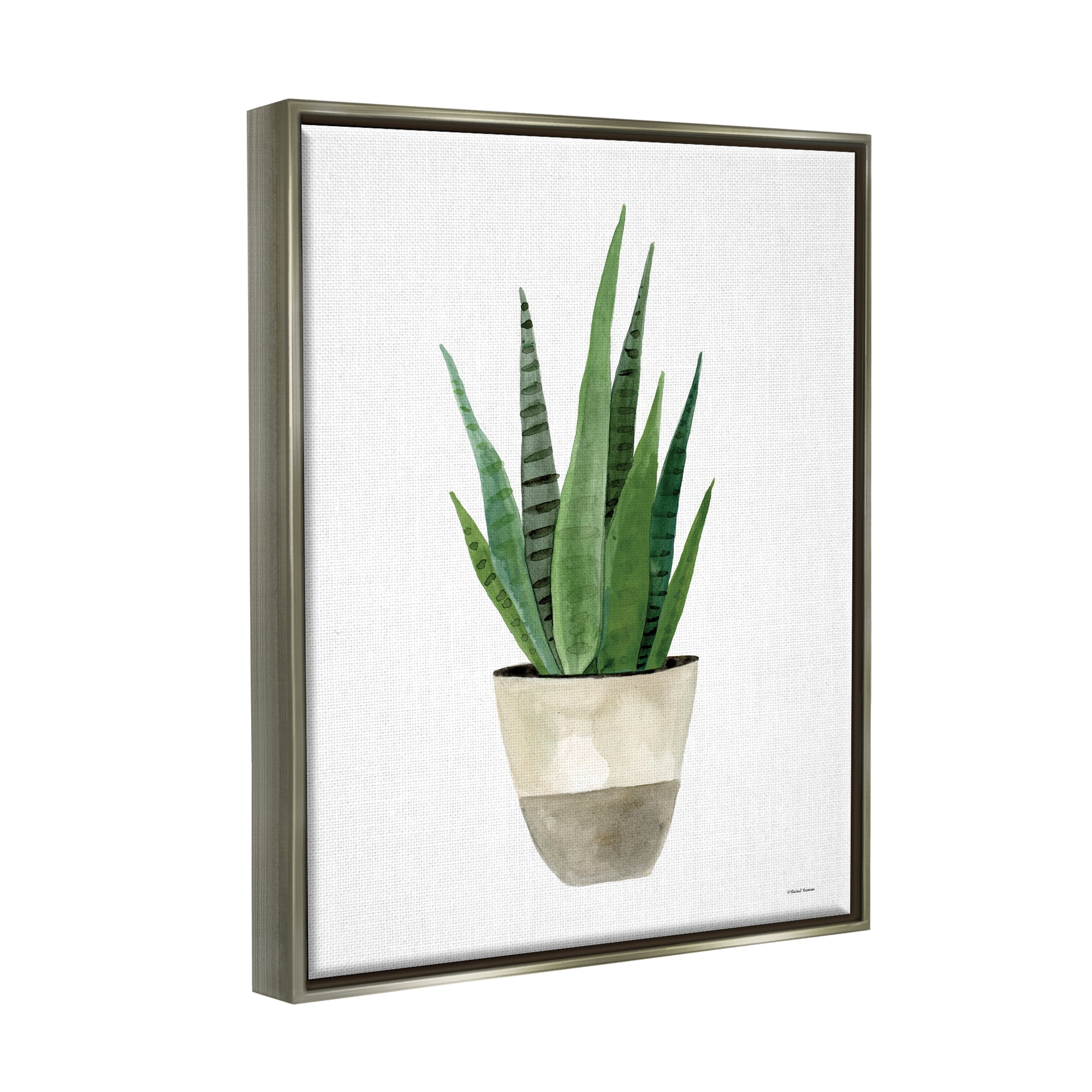 Stupell Potted Aloe Plant Casual Botanical & Floral Painting Gray Floater Framed Art Print Wall Art