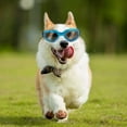thumbnail image 3 of Pet Accessories Pet for dogs with adjustable strap and oval fog-free design ideal for indoor outdoor use, 3 of 3