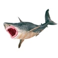 thumbnail image 4 of Adornos de tiburón, Adornos de tiburón, Juguete de Animal oceánico de plástico Vivo, Figura de tiburón oceánico, Uso Conveniente, 4 of 9