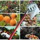 thumbnail image 3 of Fruit pickers,garden hardware tools,fruit pickers,for garden picking apples, oranges, pears, other, 3 of 4