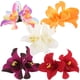 thumbnail image 4 of 5 pinzas para el pelo con flores hawaianas para mujer y niña, accesorios tropicales para disfraces., 4 of 5