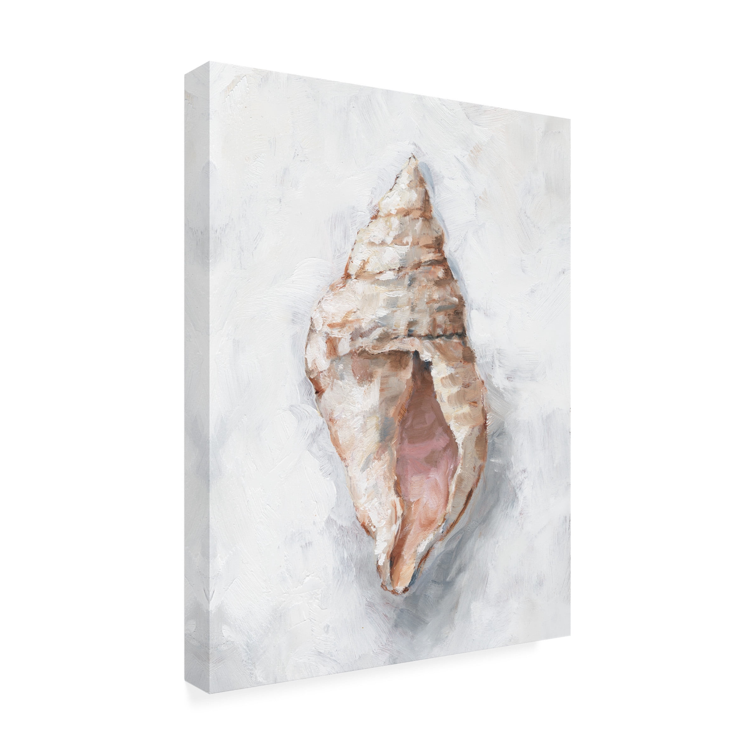 Ethan Harper 'White Shell Study III' Canvas Art