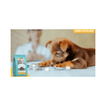 thumbnail image 3 of Nucan Cachorro Razas Pequeñas 1.8kg, 3 of 4