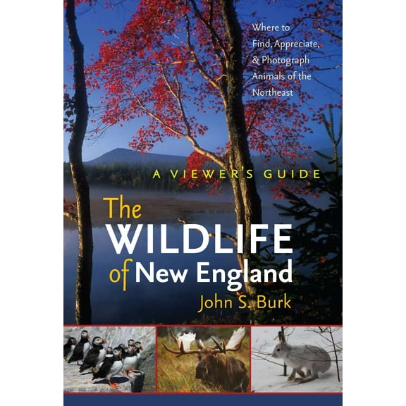 UNH Non-Series Title: The Wildlife of New England : A Viewer's Guide (Paperback)