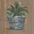 thumbnail image 2 of Norkus, Julie 26x26 Gold Ornate Wood Framed with Double Matting Museum Art Print Titled - Pretty Plant in Pail, 2 of 4