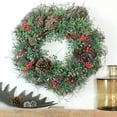 thumbnail image 3 of 24" Glittered Artificial Boxwood Pine Cone and Red Berry Christmas Wreath - Unlit, 3 of 3