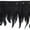 Black, variant on Belagio 9" Wide x 10 Yards Feather Trim, 1 Bolt, Black