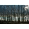 thumbnail image 2 of Berzel, Erin 24x17 Gold Ornate Wood Framed with Double Matting Museum Art Print Titled - Pacific Albus and Clouds II, 2 of 4