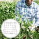 thumbnail image 5 of unbranded Trellis De Planta Negro Para Uso Diario Con Malla Resistente Y Soporte Robusto, 5 of 8