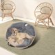 thumbnail image 3 of Asiento para perro Yuyangstore Cama para perro desmontable y vable Beige, 3 of 8