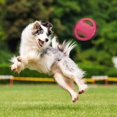thumbnail image 5 of Frisbee y discos de lanzamiento - Juguete interactivo para perros medianos y grandes - Juguete para perros con sonido al aire libre (rojo), 5 of 5