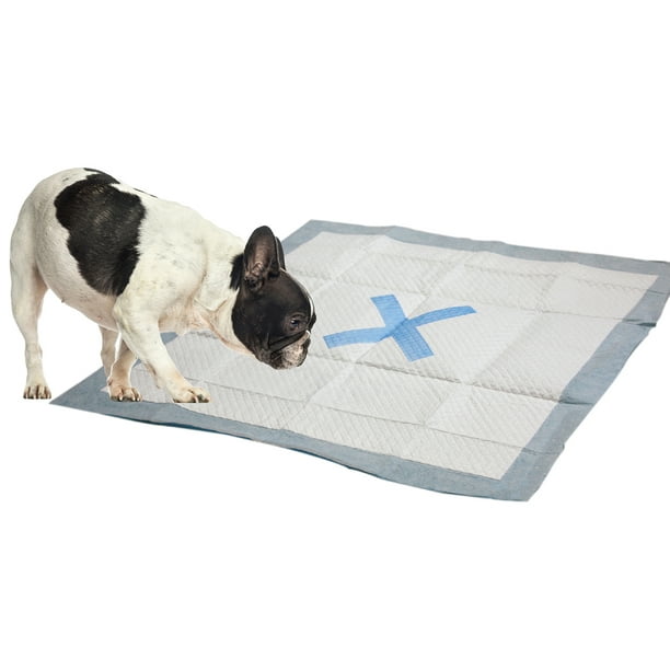 X Marque les Coussinets de Chiot Spot 22"X22" 30/Pkg-