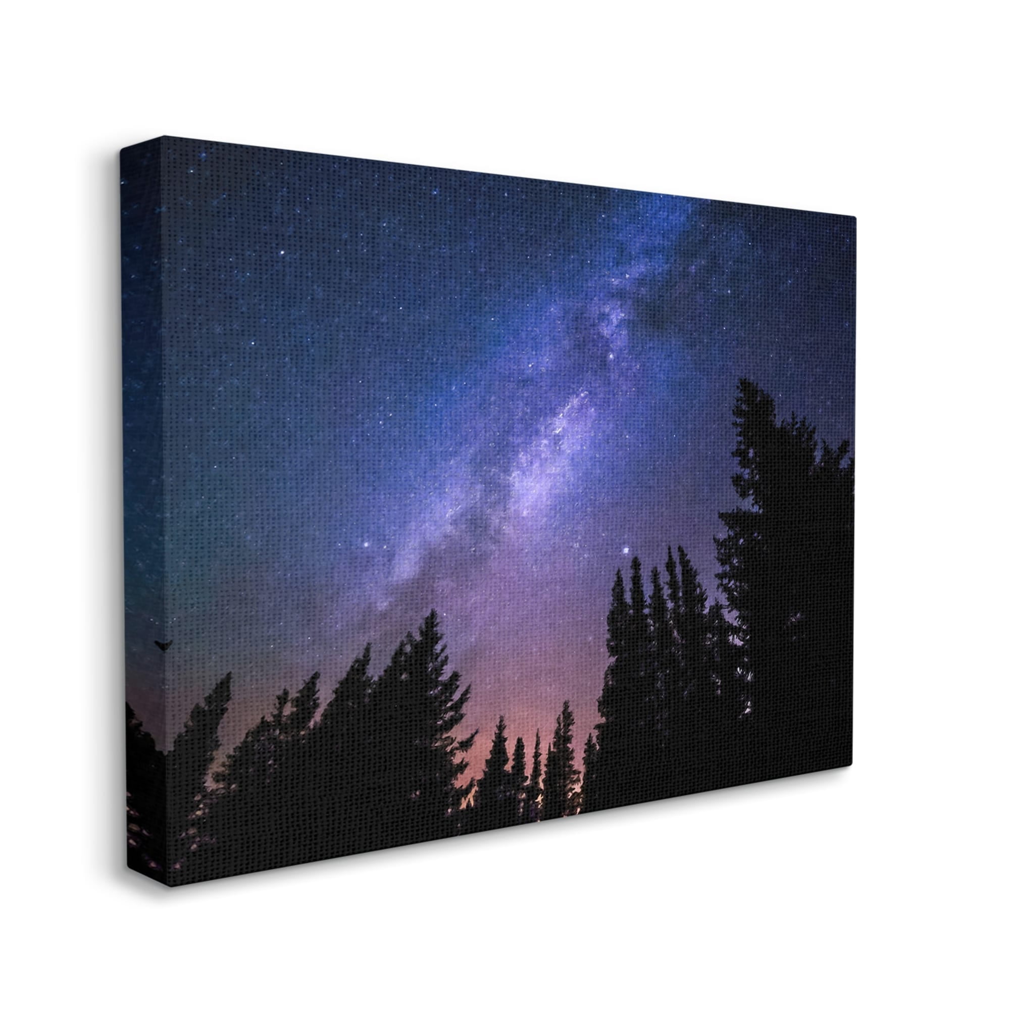 Stupell Industries Deep Blue & Purple Galaxy Sky Stars Woodlands Border Canvas Wall Art, 30 x 24, Design by Alpenglow Workshop