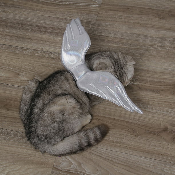 Cat angel costume sale