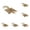 Grey 6PCS, variant on Flying Squirrel Toy Soft Cute Stuffed Animal Doll For Kids Adults Collectors Home