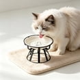 thumbnail image 5 of Elevated Ceramic Cat Bowl With Metal Stand Anti Tip Pet Food Water Bowl Cute Pattern Raised Feeding Dish For Small Medium Cats Dogs Prevent Neck Strain Indoor Pet Feeder, 5 of 6