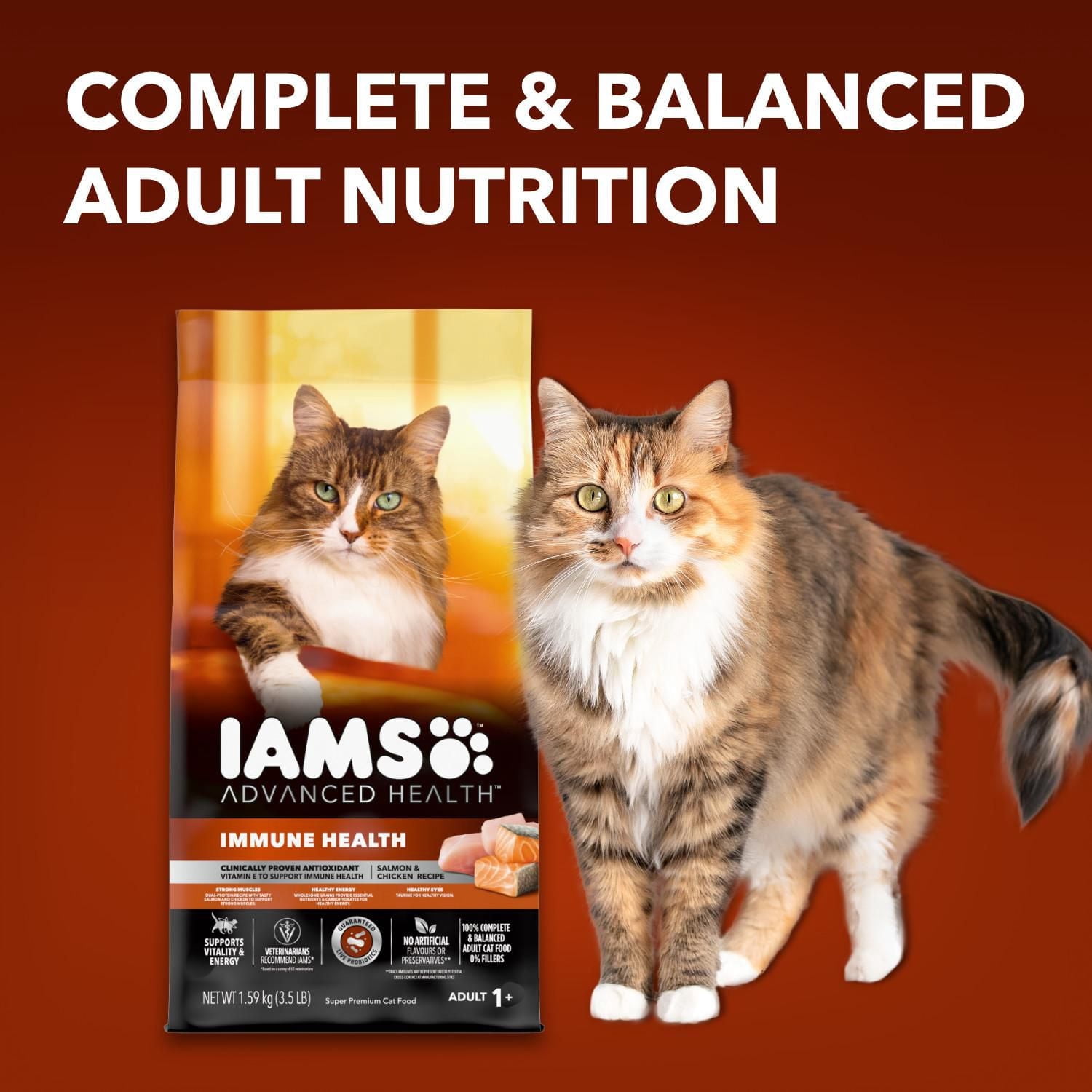 Which Cat Foods Support Immun Health: Top Boosters Revealed
