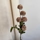 thumbnail image 5 of Flores Artificiales De Plástico Flor de diente de león artificial de plástico gris de 1 pieza con 5 capullos para decoración del hogar, jardín y uso exterior. Rkxzt, 5 of 9