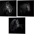 thumbnail image 1 of Great Art Now Equine Portrait by PHBurchett 3 Piece Canvas Art Set Each 14"W x 14"H, 1 of 4