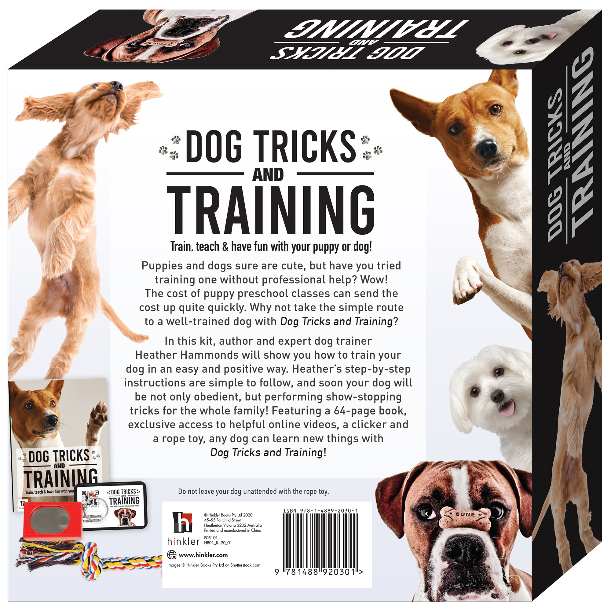 What's The Best Dog Training Equipment? Don't Leave Home Without